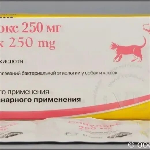 Амоксициллин кошке дозировка в таблетках