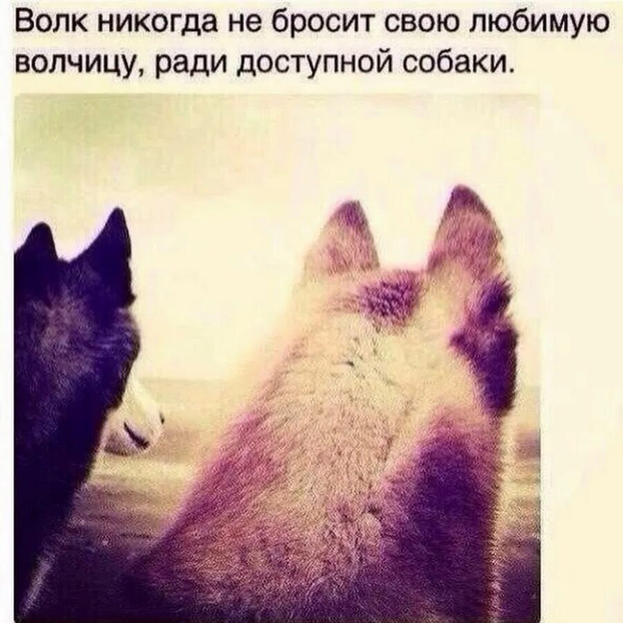 Любимых не бросают стих. Бросил парень. Берегите ту которую любите. Быть вместе цитаты. Если человек любит.