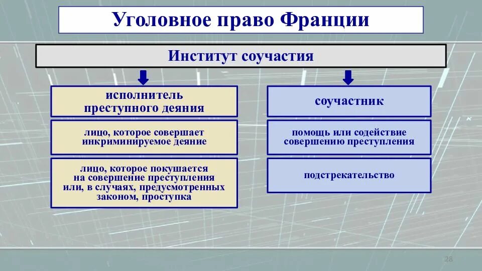 Уголовно правовые школы. Уголовное право. Институт в праве институт соучастия. Институт соучастия в уголовном праве.