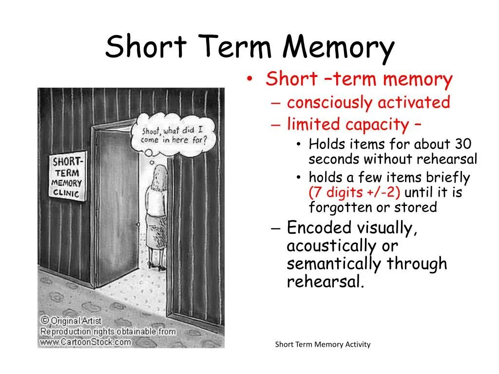 Short memory. Short term Memory. Short-term Memory mem. Пере short-term Memory. Пере short-term Memory mem.