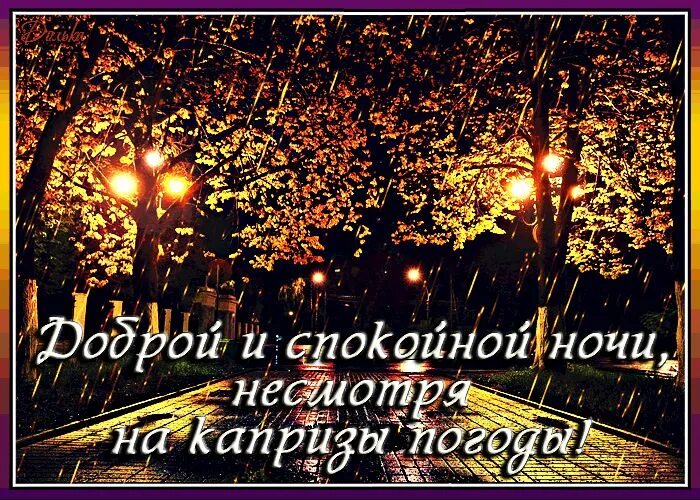 Пожелания доброго вечера и доброй ночи прикольные. Пожелания доброго осеннего вечера и спокойной ночи. доброго вечера и спокойной ночи ноября. добрый вечер спокойной ночи осень. доброго ноябрьского вечера и спокойной ночи.