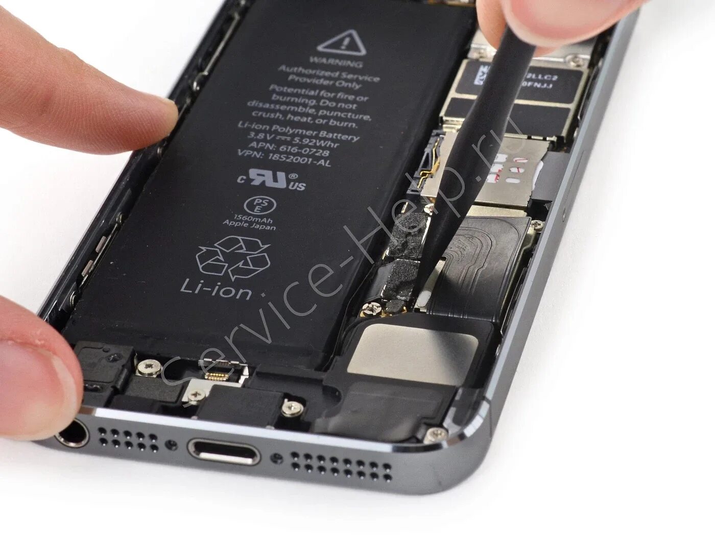 АКБ айфон 5s. Гнездо шлейфа АКБ iphone 5se. Аккумулятор айфон 5. Iphone 5s Battery Replacement.