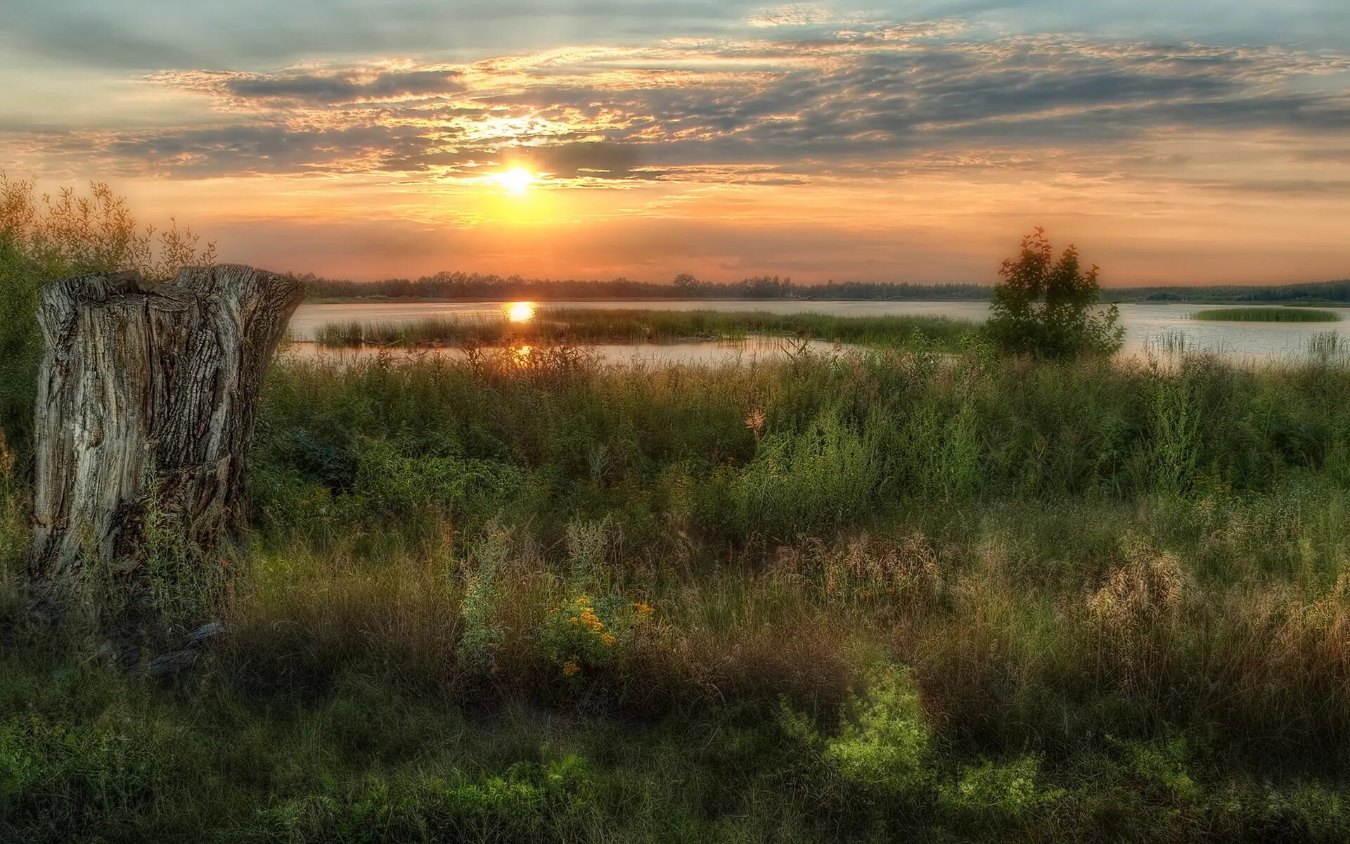 Благодать рекою. Август природа. Пейзаж без фильтров. Август пейзаж. Август природа Россия.