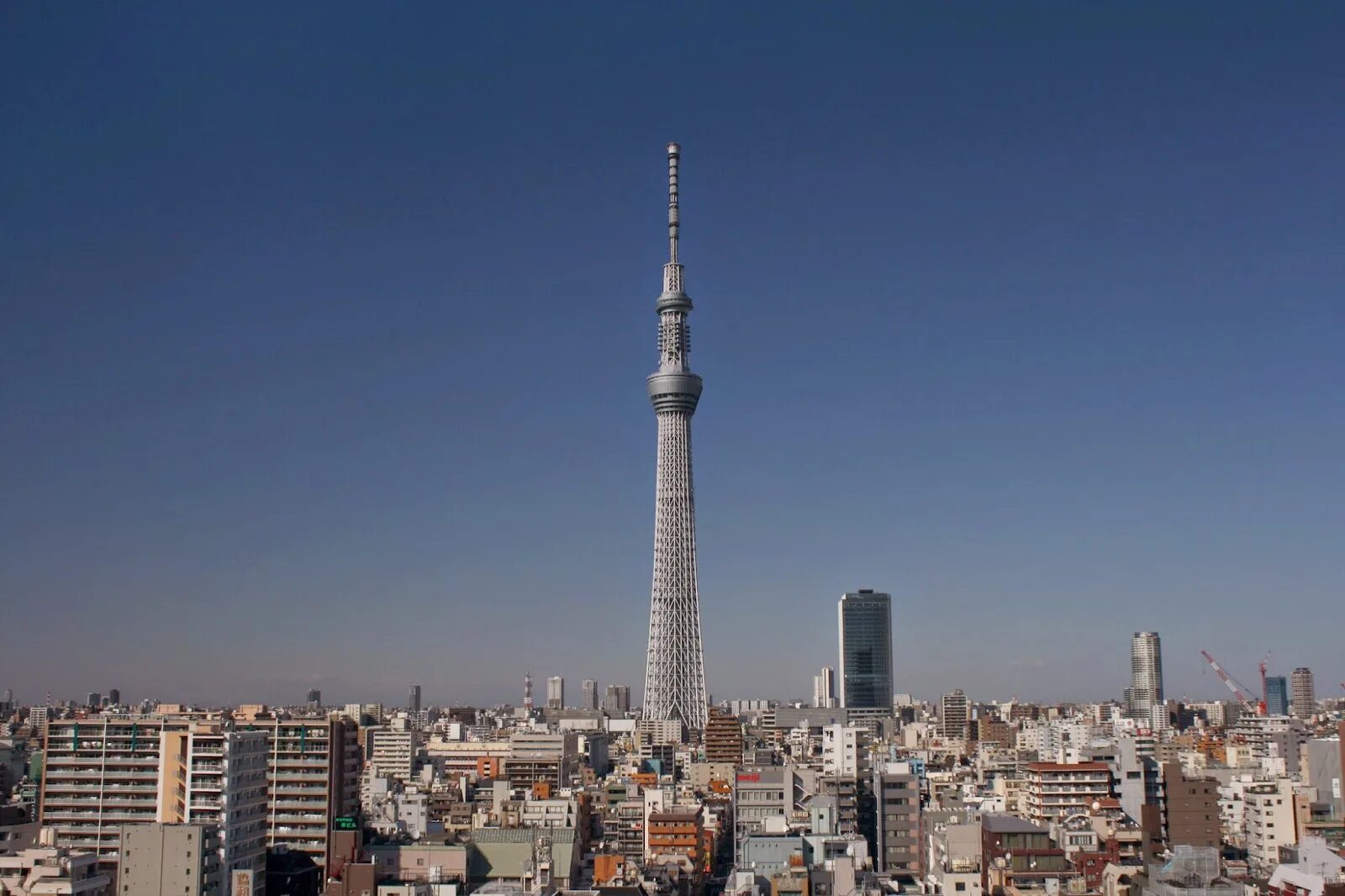 Токио Скай три. Высокая башня. Самая высокая башня.