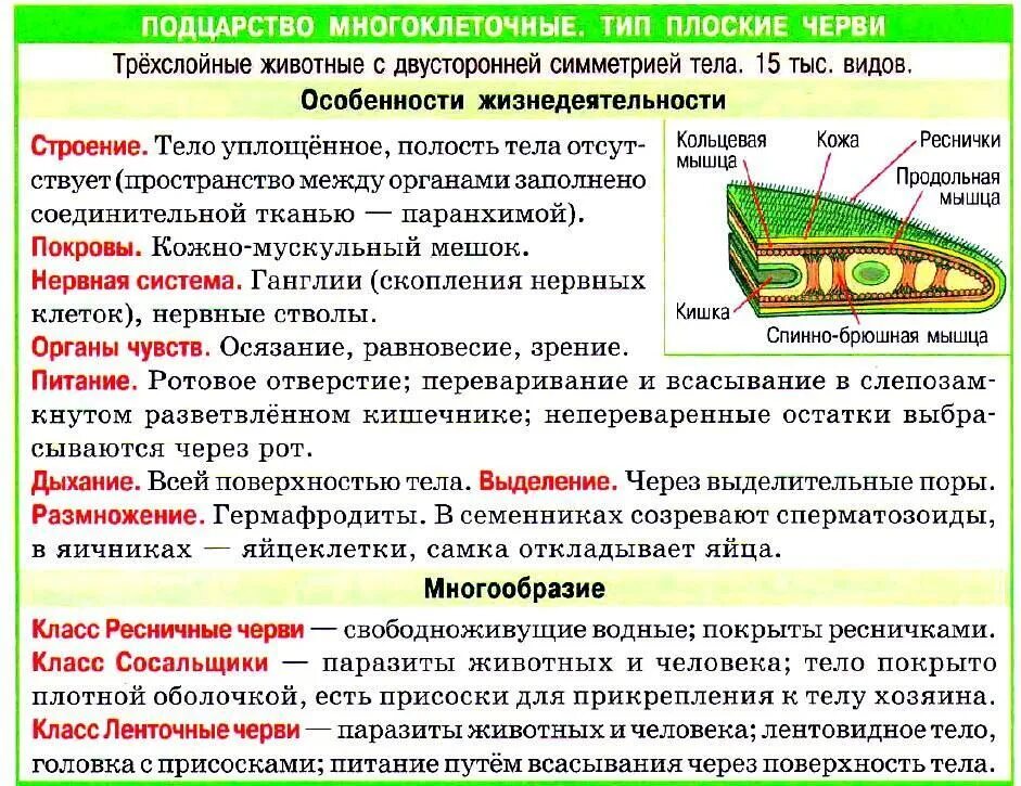 Признаки плоских червей кратко. Общая характеристика типа плоские черви кратко. Охарактеризуйте особенности строения плоских червей. Основные характеристики плоских червей. Класс ресничные сосальщики ленточные