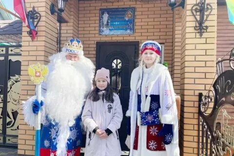 Дедушка сосновка