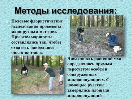 Полевой метод в биологии
