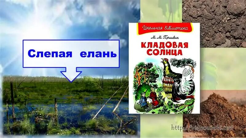 Почему торф называют кладовой солнца. Слепая Елань кладовая солнца. Слепая Елань. Елань кладовая солнца. Кладовая солнца.