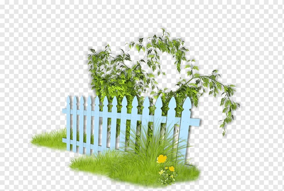 Сад пнг. Заборчик с цветочками. Деревенский забор. Забор на белом фоне. Изгородь клипарт на прозрачном фоне.