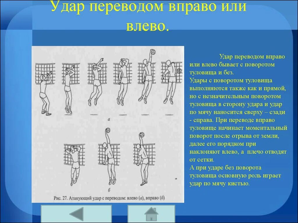 В стороны вправо или влево