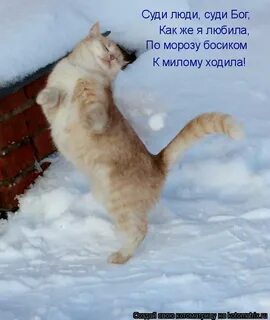 По морозу босиком