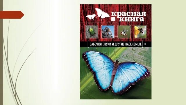 Бабочки красной книги. Бабочки красной книги России. Красна книжная бабочка. Книга с бабочками.