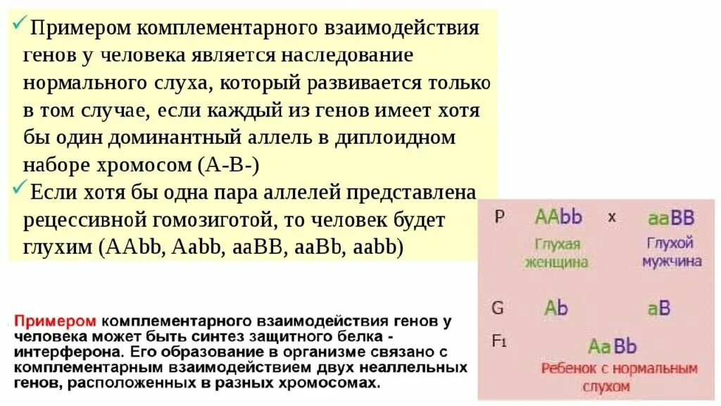 Примеры генов человека. Комплементарное взаимодействие генов примеры. Взаимодействие неаллельных генов примеры. Неаллельные гены взаимодействие. Типы комплементарного взаимодействия неаллельных генов.