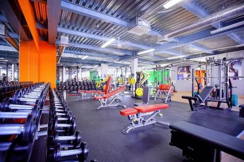 Alex fitness ленинский просп 174п отзывы