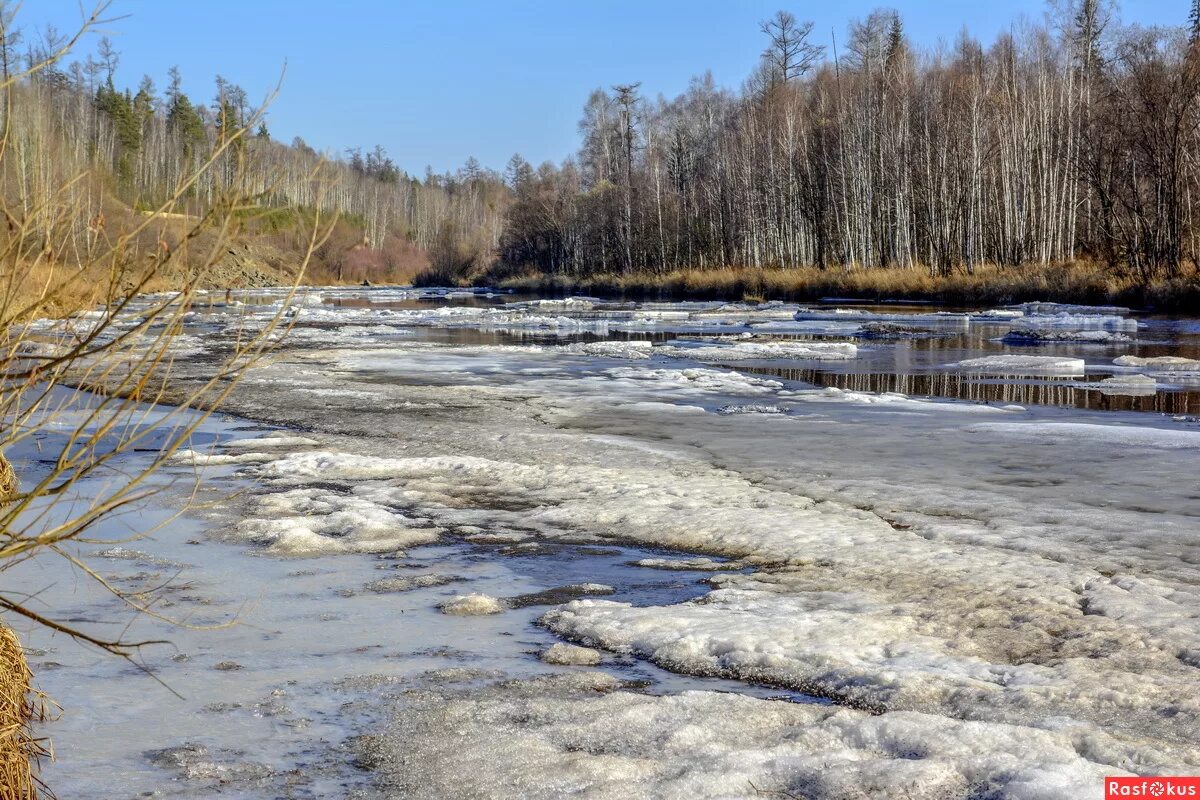 Где вскрылась река. Тром Аган река. Река вскрылась ото льда. Река после зимы. Река вскрылась.