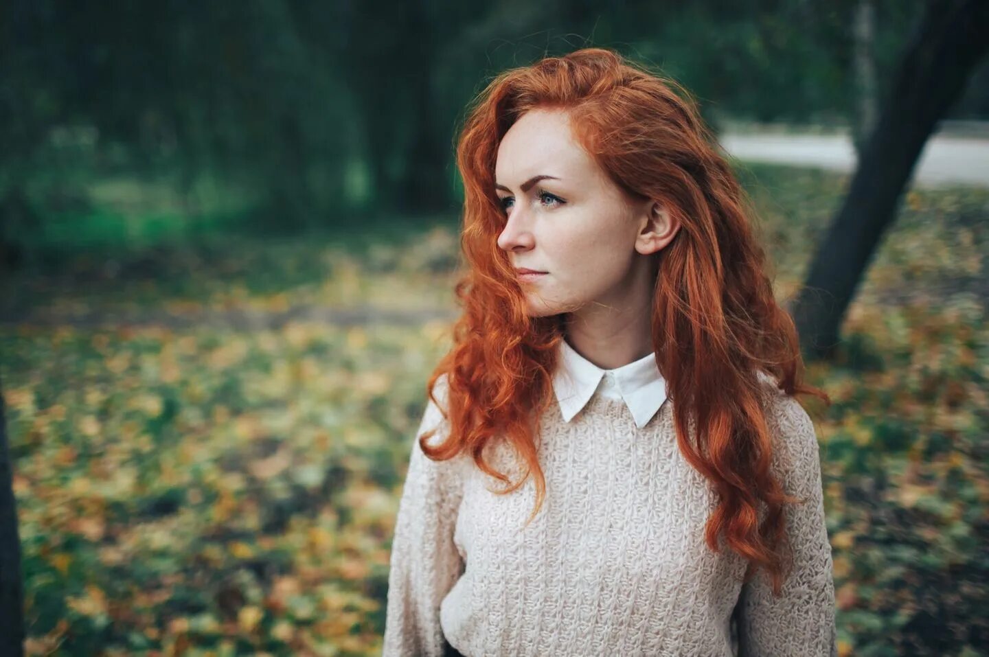 Redhead photos. Рыжеволосая женщина. Рыжий цвет волос. Женщина с рыжими волосами.