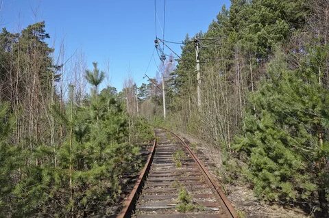 Красная горка 143508