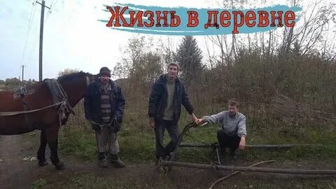Село троицкое тульская область