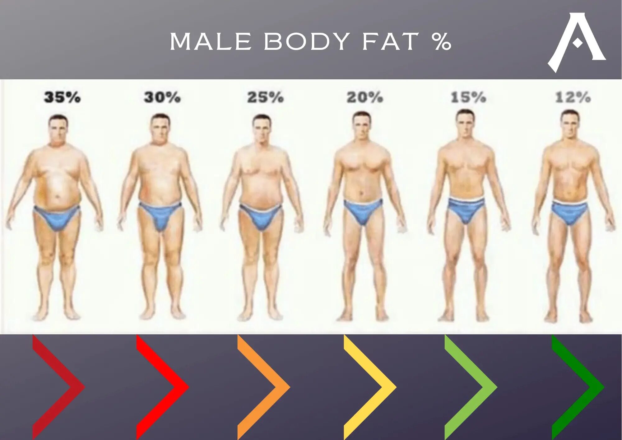 20 Body fat. 15% Body fat. Процент жира у мужчин фото. 25 Body fat.