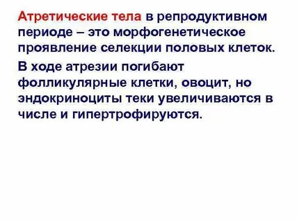 Репродуктивный период