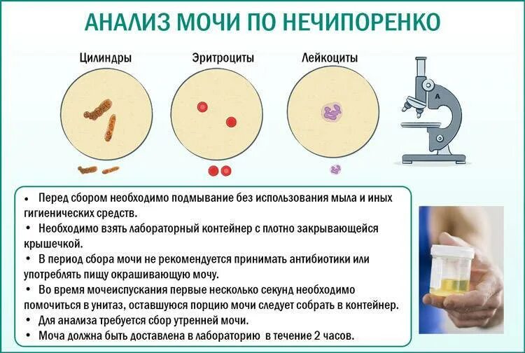 Можно ли сдавать м