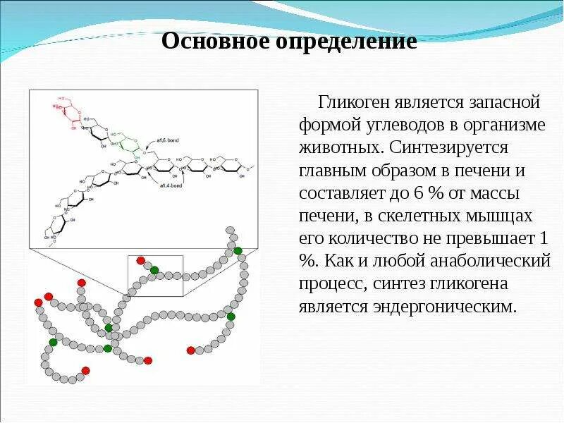 В клетках растений углевод синтезируется в. Биосинтез углеводов. запасная форма углеводов в организме. процесс биосинтез углеводов. биосинтез углеводов схема.