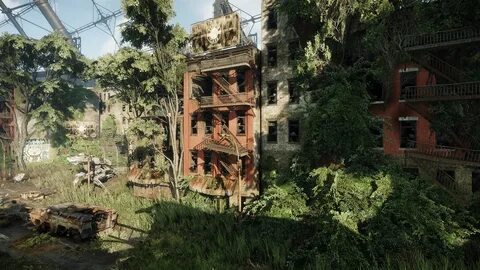 Заросло 3