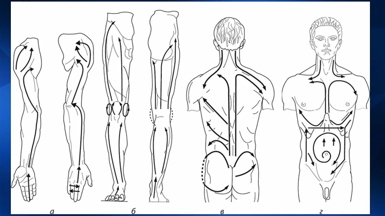 Направление массажных движений при массаже. Массажные линии тела лимфа. Лимфатическая система массажные линии. Массажные линии спины схема.