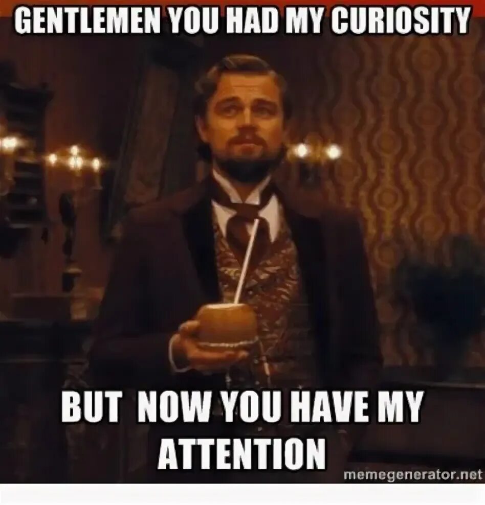 You are my attention. Now you have my attention. you have my curiosity but now. you have my attention. but now you got my attention.