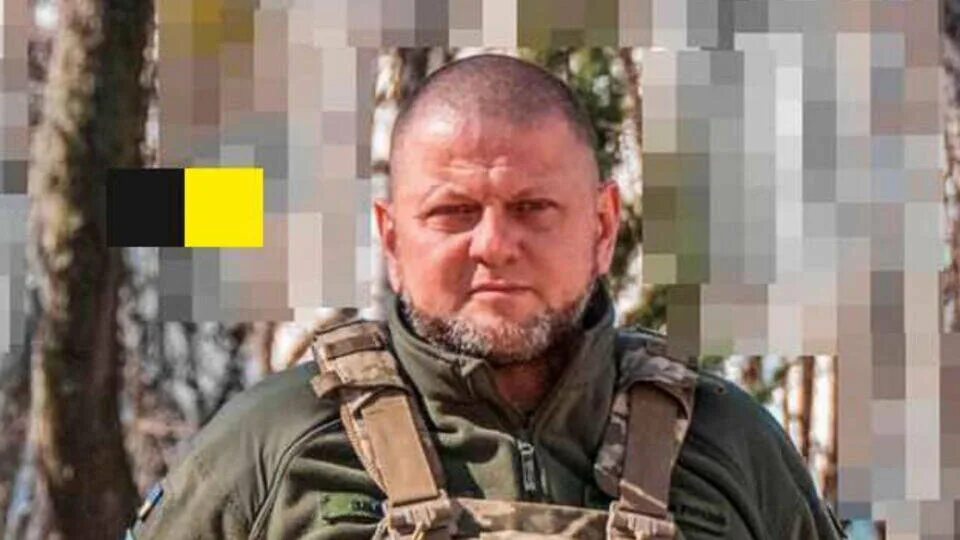 Валерием федоровичем залужным