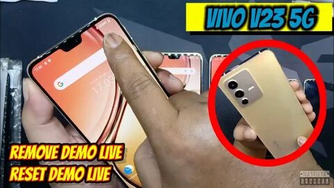Vivo demo
