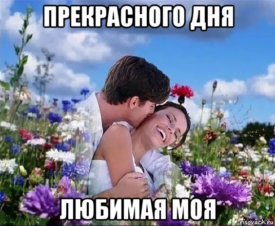 Прекрасный день мем. Хорошего дня любимый мем. в этот день любимая моя. начало дня с любимой мем.