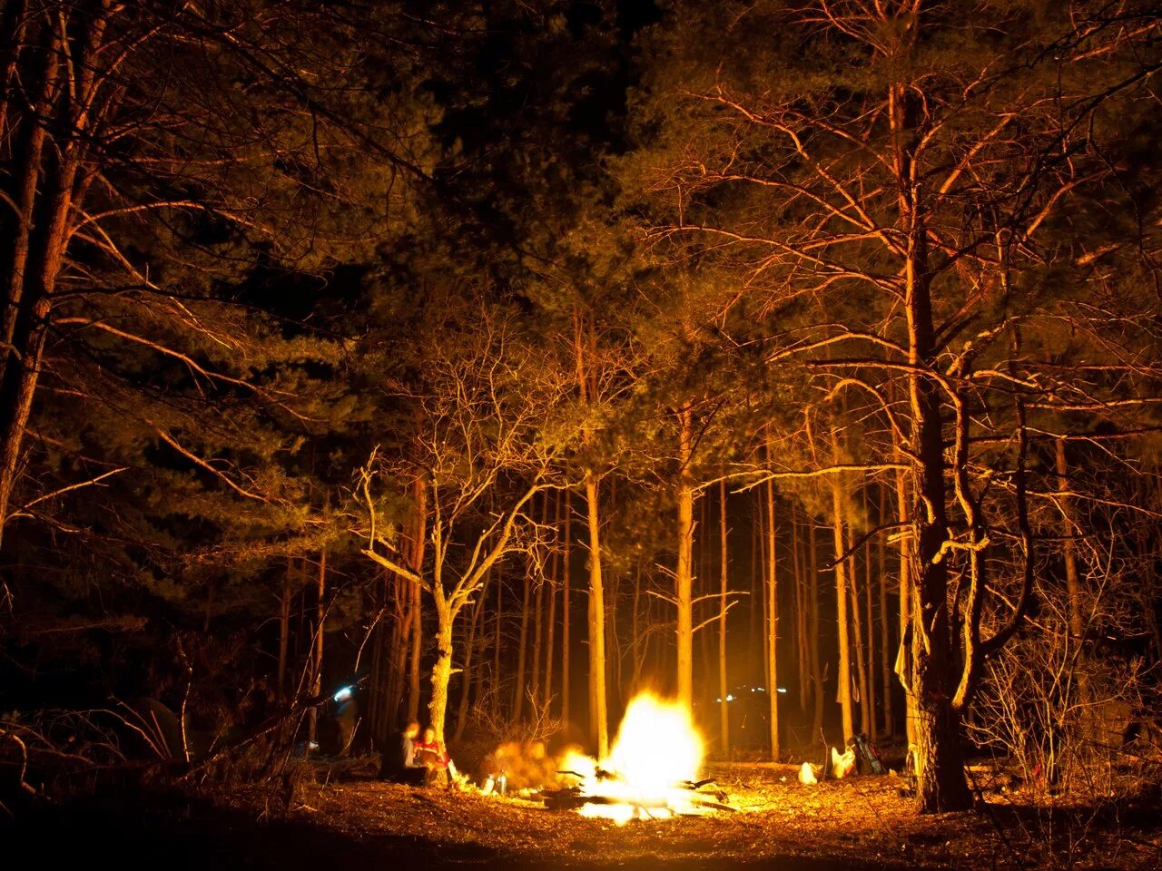 Ночью в лесу 3 класс. Костер в лесу. «Ночь в лесу». Костёр в лесу ночью. Ночной лес.