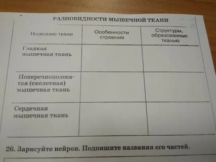 Таблица по биологии пятый класс среда обитания