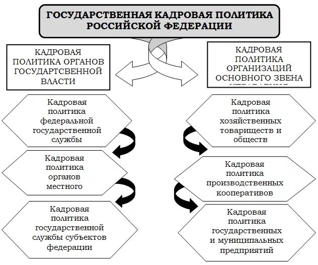 Направления муниципальной политики. Направления реализации кадровой политики в организации. Структура субъектов государственной кадровой политики. Основные направления формирования кадровой политики. Направления кадровой политики схема.