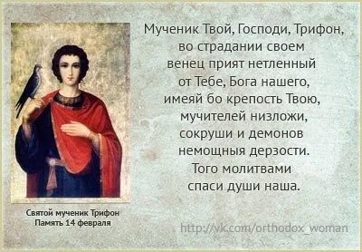 Тропарь трифону