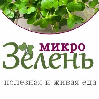 Микрозелень пермь