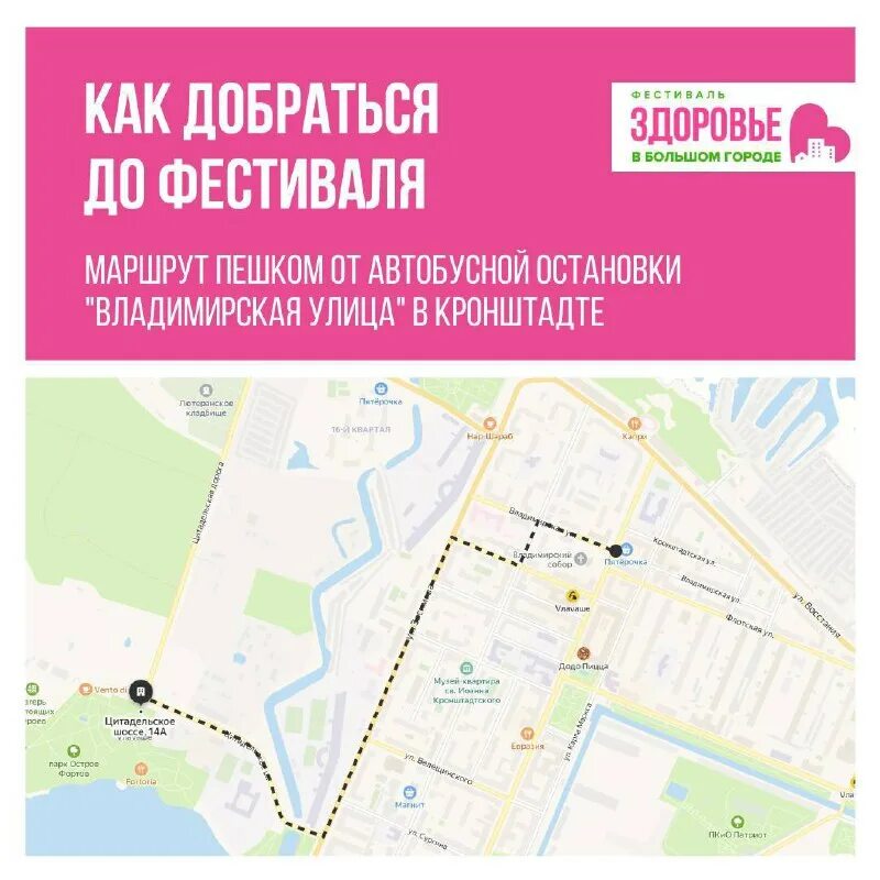 маршрут кронштадт - санкт-петербург -стрельна. остановка китай город проспект просвещения. финский залив в санкт-петербурге на карте. проспект просвещения кронштадт. маршруты автобусов в кронштадте на карте.