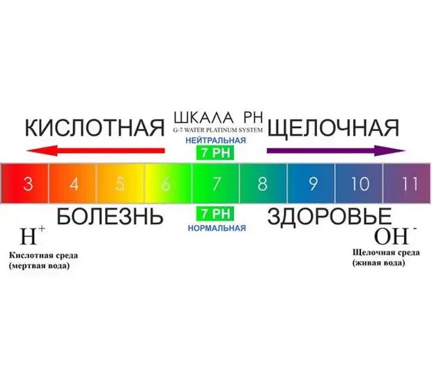 Водно кислотный баланс