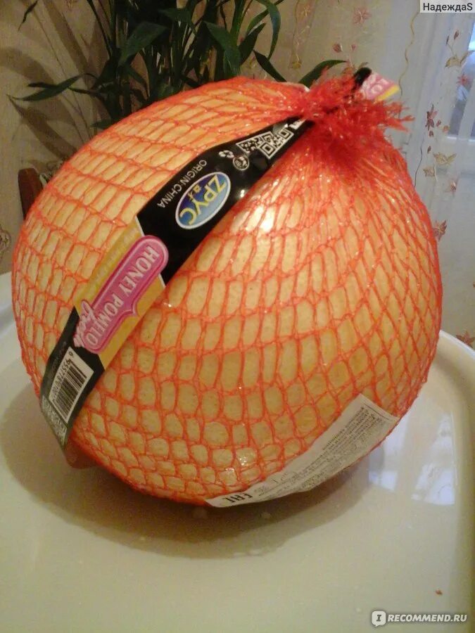 Помело фрукт полезные. Как определить спелость помело. Фрукт цитрус свити. Родина помело фрукт. Памела фрукт.