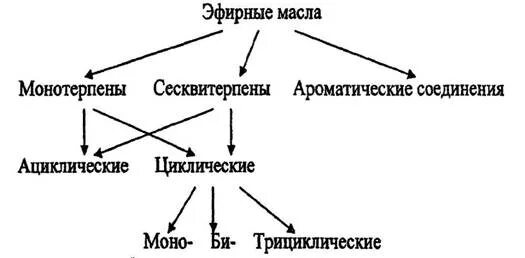 Применение эфирных масел. Сложные эфиры примеры формулы. Графический конспект распространение в природе эфирных масел. Графический конспект распространение в природе эфирных масел. Классификация соединений терпены.