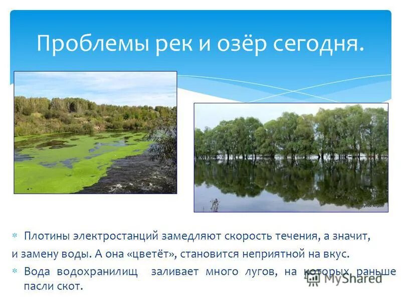 Экологические проблемы пресных вод. Река обь загрязнена. Проблемы реки обь и их решения. Обь. Обь экологические проблемы.