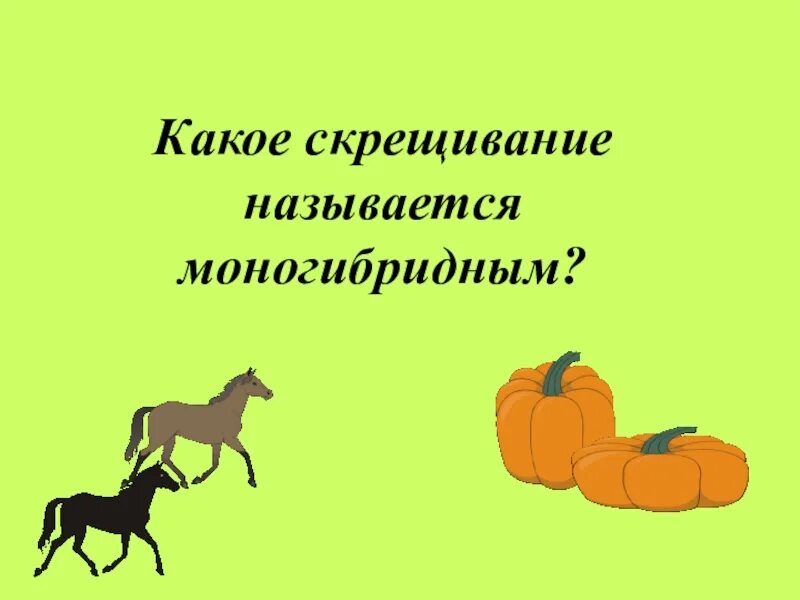 Какое скрещивание называют моногибридным. Моногибридным называется. какое скрещивание называется моногибридным. какое сокращение называют моногибридным.