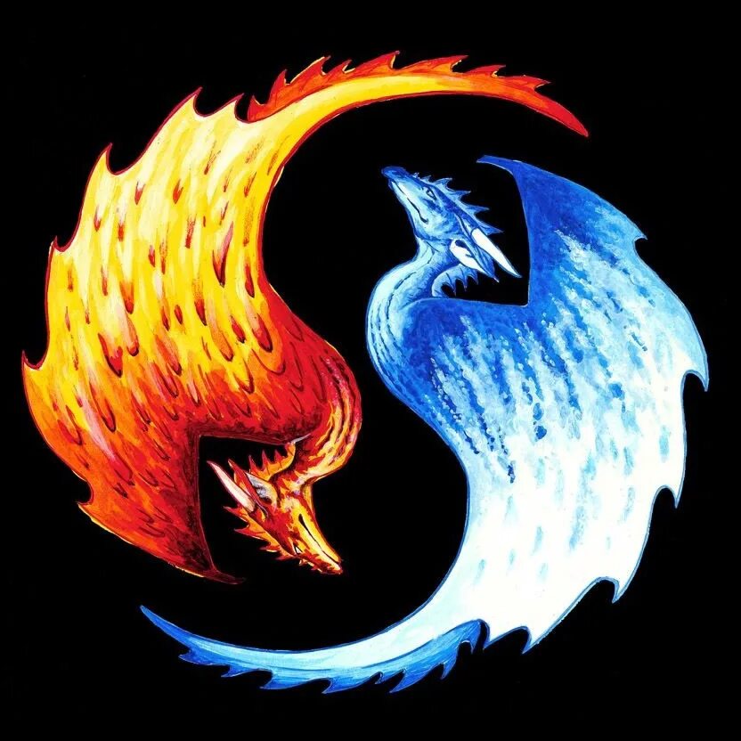 Сине красный логотип. Сузаку дракон Феникс. Инь Янь символ дракон и Феникс. Огненный дракон Инь Янь.