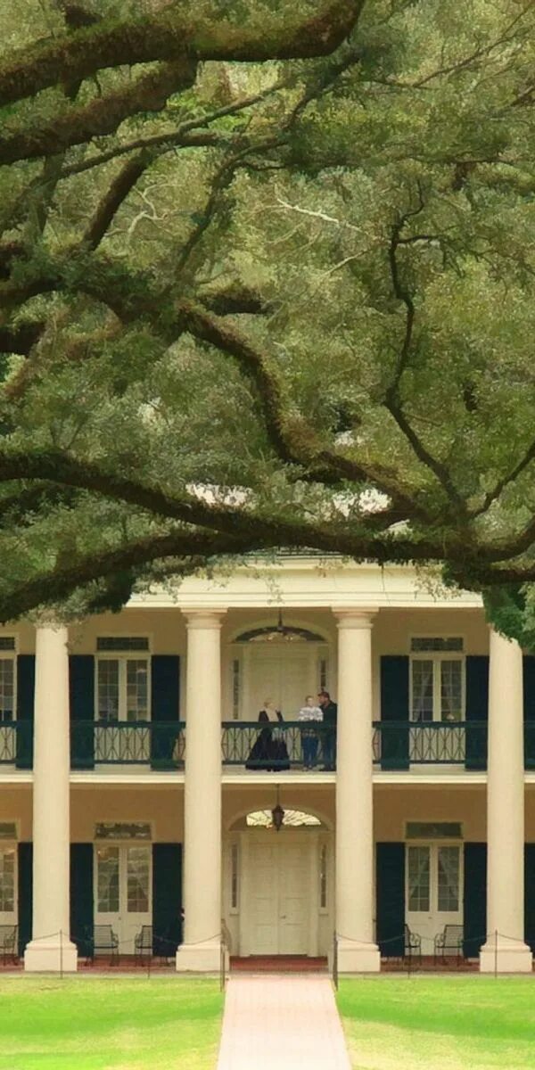 Дом под дубом. Плантация дубовая аллея. Дуб на даче. Дома на деревьях. Дерево на поляне.