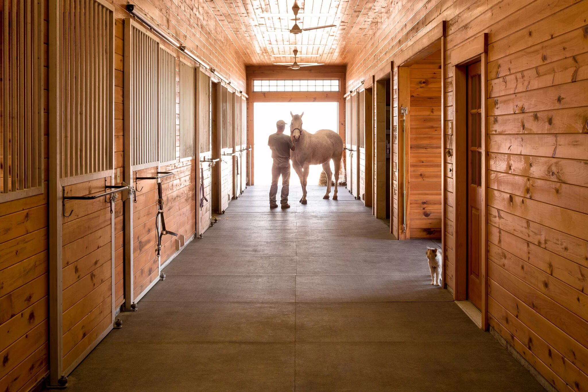 Stable line. Конюшня джона лоуренса англия. конюшня solana stables. конюшня внутри денники. денник для лошади.