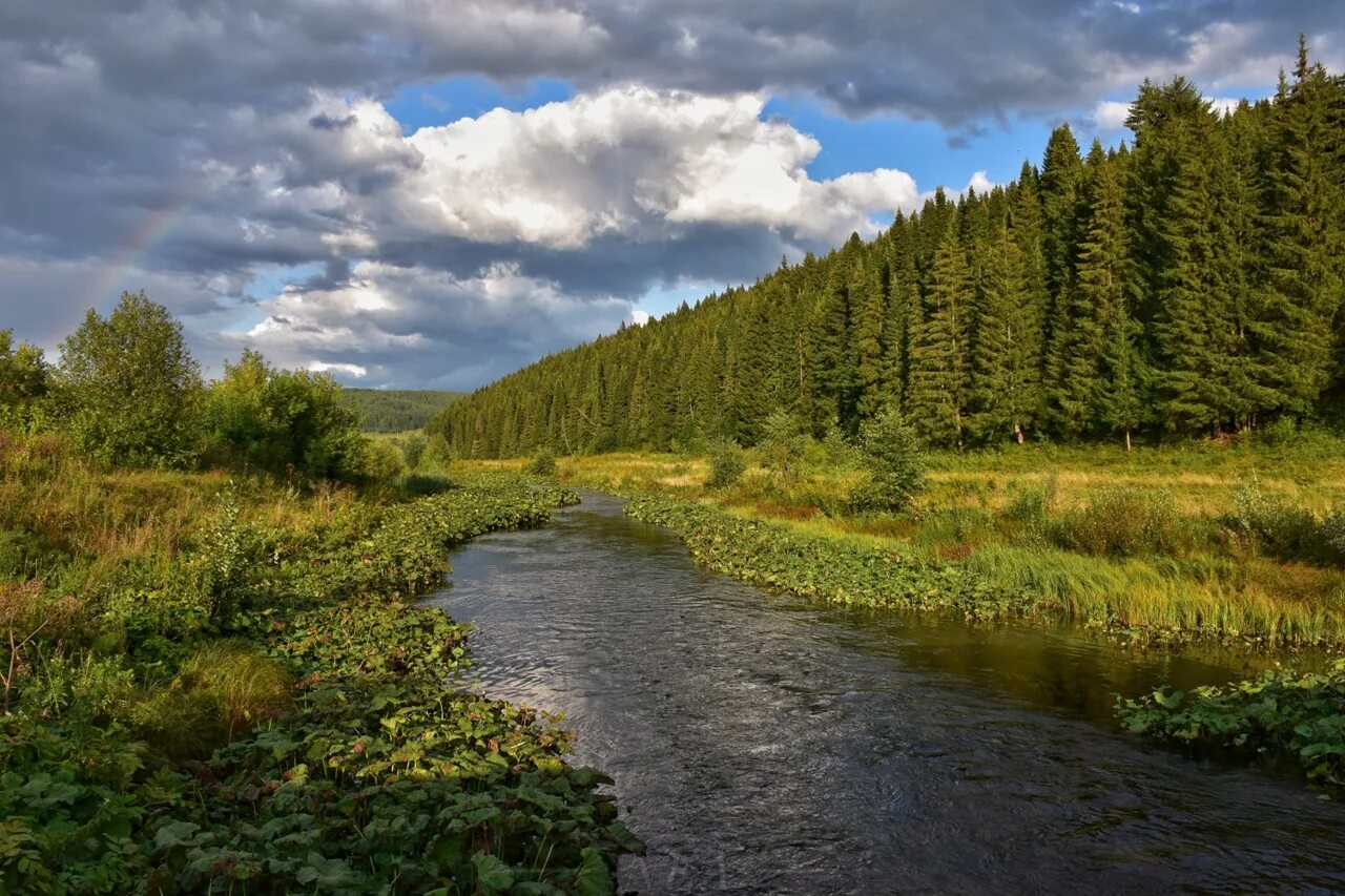 Какая природа в свердловской области