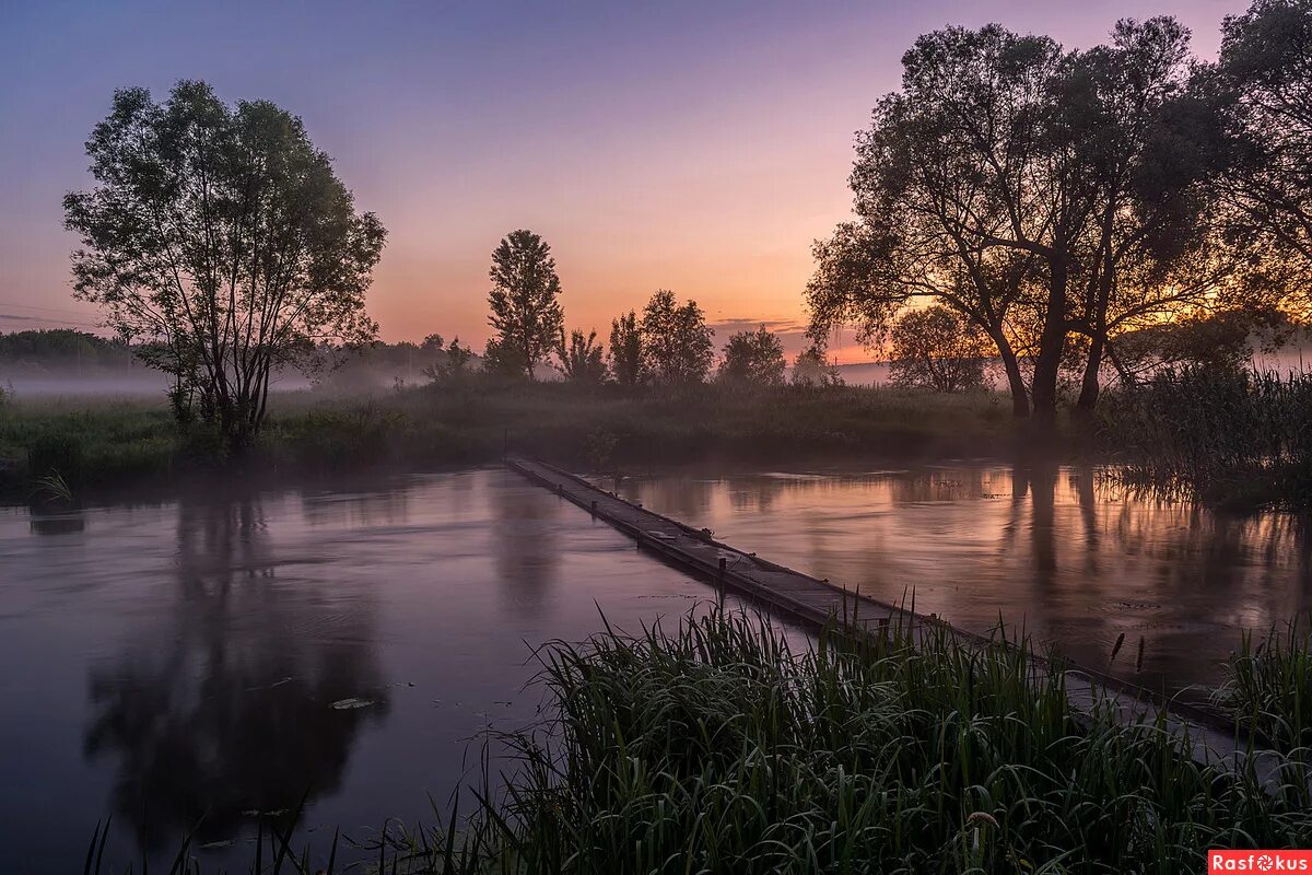 Нежеголь группа солист. Нежеголь зори. Нежеголь зори. Нежеголь асгарда рейд. Нежеголь группа.