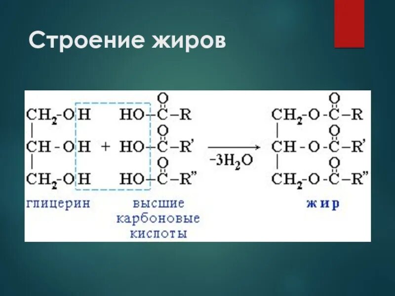 Общее название жиров. Строение жиров. строение жиров химия. жиры их строение. строение жиров рисунок.