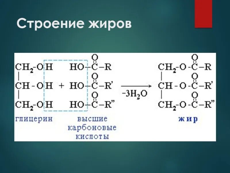 Общее название жиров. Строение жиров. Строение жиров химия. Жиры их строение. Строение жиров рисунок.